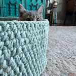 kitten peeking over the side of a crochet cat bed