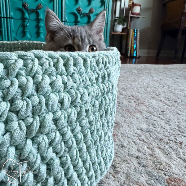 kitten peeking over the side of a crochet cat bed