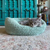 sweet kitten sleeping on the side of a mint colored cat bed 